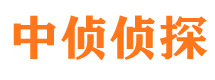 金山屯私家调查公司